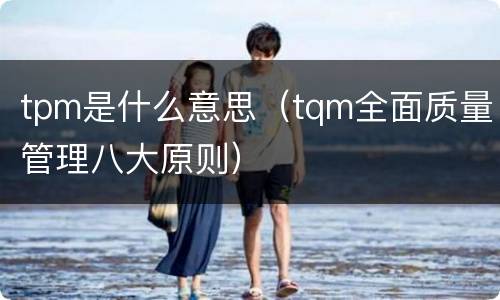 tpm是什么意思（tqm全面质量管理八大原则）
