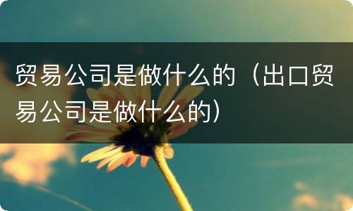 贸易公司是做什么的（出口贸易公司是做什么的）