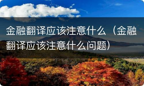 金融翻译应该注意什么（金融翻译应该注意什么问题）