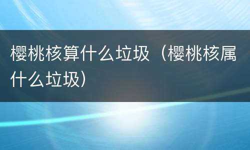 樱桃核算什么垃圾（樱桃核属什么垃圾）