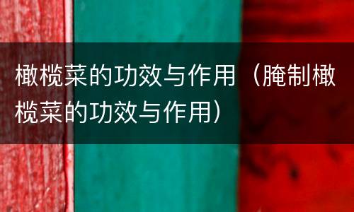 橄榄菜的功效与作用（腌制橄榄菜的功效与作用）