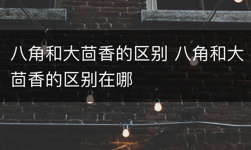 八角和大茴香的区别 八角和大茴香的区别在哪