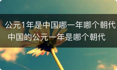 公元1年是中国哪一年哪个朝代 中国的公元一年是哪个朝代