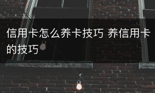 信用卡怎么养卡技巧 养信用卡的技巧