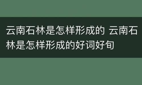 云南石林是怎样形成的 云南石林是怎样形成的好词好旬
