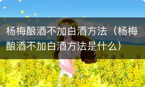 杨梅酿酒不加白酒方法（杨梅酿酒不加白酒方法是什么）