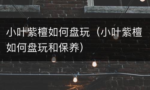小叶紫檀如何盘玩（小叶紫檀如何盘玩和保养）