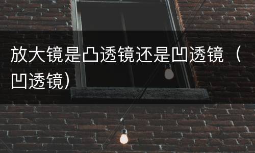 放大镜是凸透镜还是凹透镜（凹透镜）