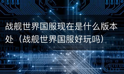 战舰世界国服现在是什么版本处（战舰世界国服好玩吗）