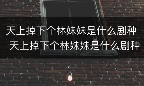 天上掉下个林妹妹是什么剧种 天上掉下个林妹妹是什么剧种?