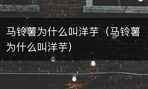 马铃薯为什么叫洋芋（马铃薯为什么叫洋芋）