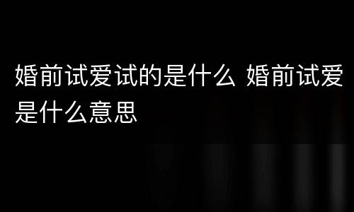婚前试爱试的是什么 婚前试爱是什么意思
