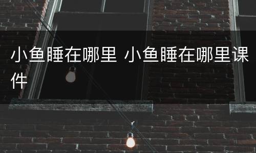 小鱼睡在哪里 小鱼睡在哪里课件