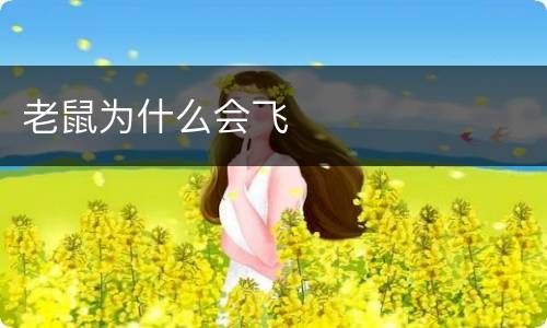 老鼠为什么会飞