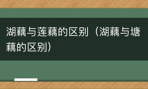 湖藕与莲藕的区别（湖藕与塘藕的区别）