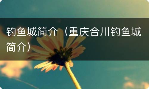 钓鱼城简介（重庆合川钓鱼城简介）