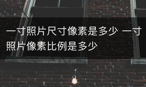 一寸照片尺寸像素是多少 一寸照片像素比例是多少