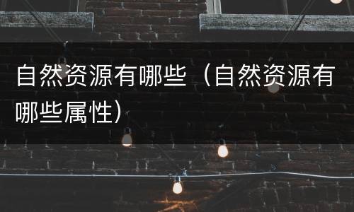 自然资源有哪些（自然资源有哪些属性）