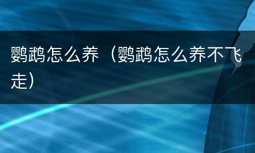 鹦鹉怎么养（鹦鹉怎么养不飞走）