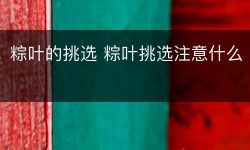 粽叶的挑选 粽叶挑选注意什么