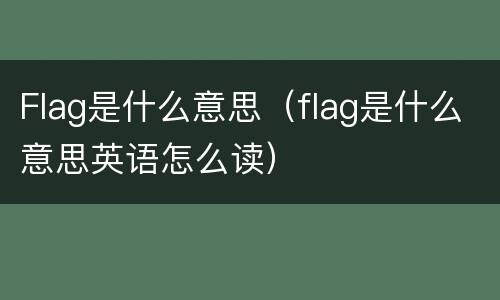 Flag是什么意思（flag是什么意思英语怎么读）