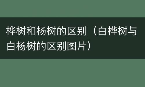 桦树和杨树的区别（白桦树与白杨树的区别图片）