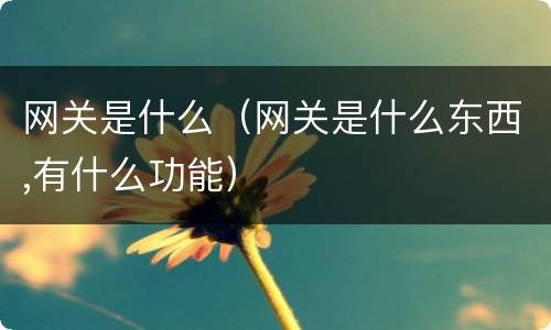 网关是什么（网关是什么东西,有什么功能）