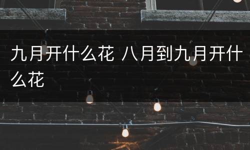 九月开什么花 八月到九月开什么花