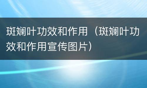 斑斓叶功效和作用（斑斓叶功效和作用宣传图片）