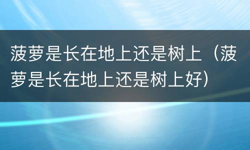 菠萝是长在地上还是树上（菠萝是长在地上还是树上好）