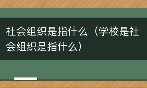 社会组织是指什么（学校是社会组织是指什么）