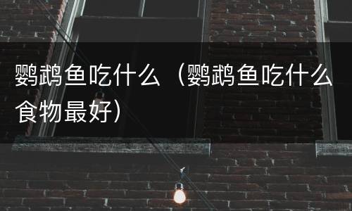 鹦鹉鱼吃什么（鹦鹉鱼吃什么食物最好）