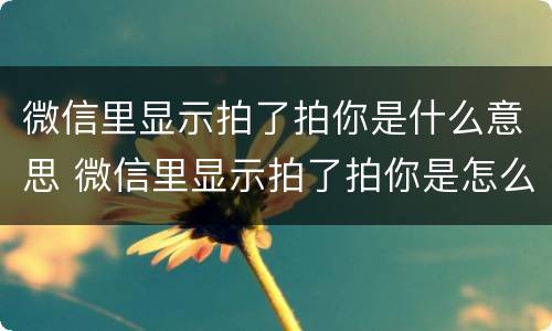微信里显示拍了拍你是什么意思 微信里显示拍了拍你是怎么弄的
