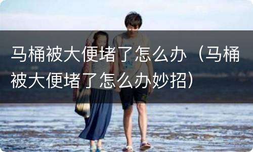 马桶被大便堵了怎么办（马桶被大便堵了怎么办妙招）