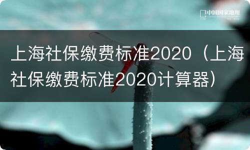 上海社保缴费标准2020（上海社保缴费标准2020计算器）