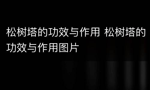 松树塔的功效与作用 松树塔的功效与作用图片