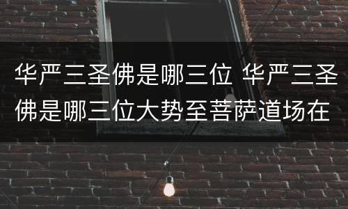 华严三圣佛是哪三位 华严三圣佛是哪三位大势至菩萨道场在哪里