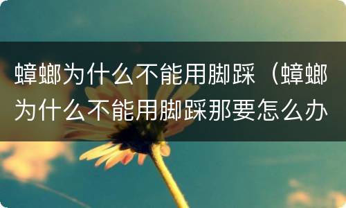 蟑螂为什么不能用脚踩（蟑螂为什么不能用脚踩那要怎么办）