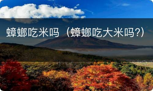 蟑螂吃米吗（蟑螂吃大米吗?）