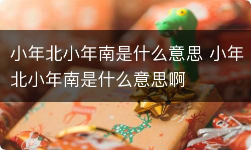 小年北小年南是什么意思 小年北小年南是什么意思啊