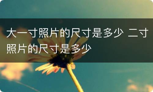 大一寸照片的尺寸是多少 二寸照片的尺寸是多少