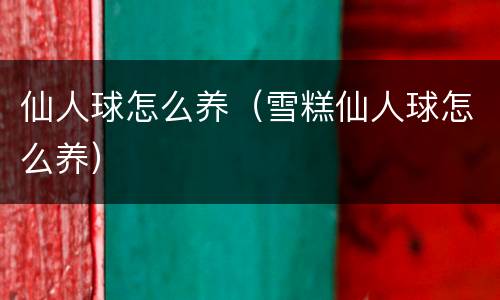 仙人球怎么养（雪糕仙人球怎么养）