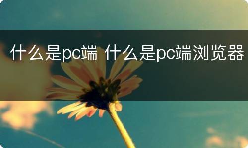 什么是pc端 什么是pc端浏览器