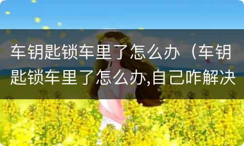 车钥匙锁车里了怎么办（车钥匙锁车里了怎么办,自己咋解决）