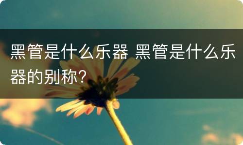 黑管是什么乐器 黑管是什么乐器的别称?