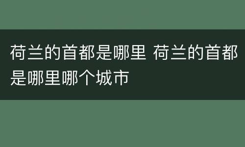 荷兰的首都是哪里 荷兰的首都是哪里哪个城市