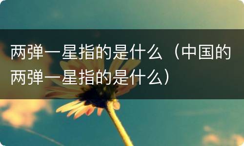 两弹一星指的是什么（中国的两弹一星指的是什么）