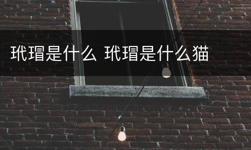 玳瑁是什么 玳瑁是什么猫