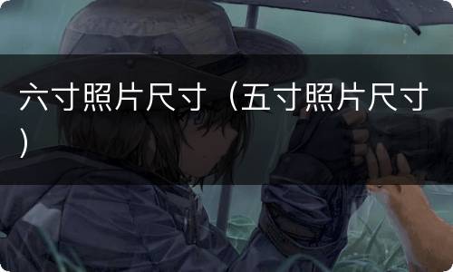 六寸照片尺寸（五寸照片尺寸）