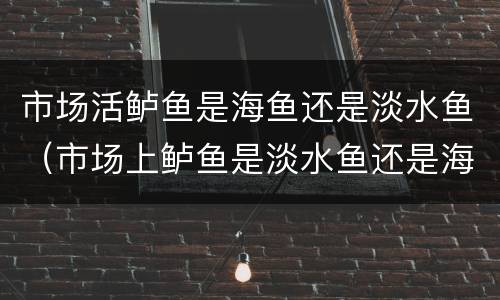 市场活鲈鱼是海鱼还是淡水鱼（市场上鲈鱼是淡水鱼还是海鱼）